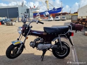 Piaggio zip - foto 5